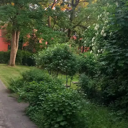 1#netflix &wlan &kingsize Bett &kaffee Maschine & Zentral & 500m Innenhafen & 2 Min U Bahn دوسبرغ